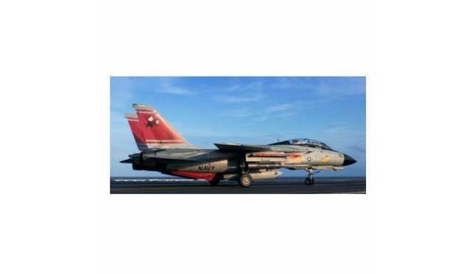 Plastic model F-14D Super Tomcat