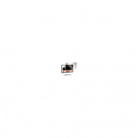 Targus privaatsusfilter 24-tolline