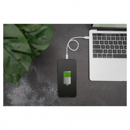 "DIGITUS USB Kabel USB-C St. -> Lightning St., MFI 2M weiß"