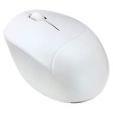 "Asus MD101 MOUSE/WH"