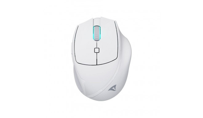 Sharkoon OfficePal M25W valge