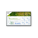 "FW-55BZ30L 55INCH PRO"