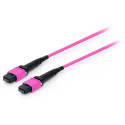 Equip fiiberoptiline ühenduskaabel MTP-MTP 3.00m Multimode OM4 TypA