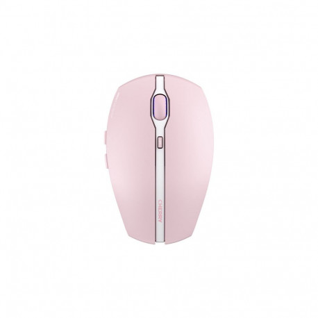 Cherry Gentix BX kirsiõis