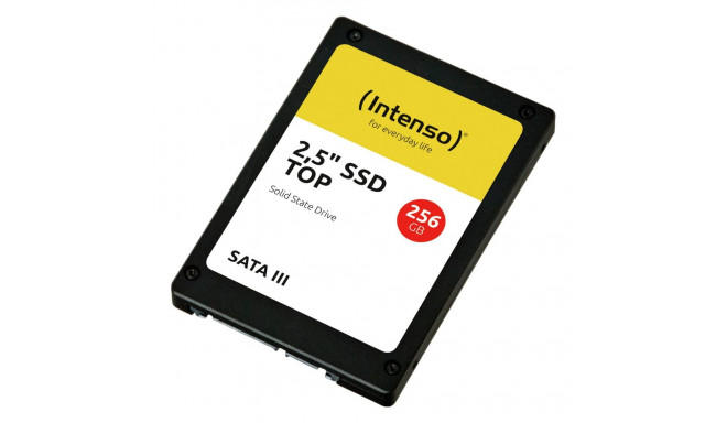 "256GB Intenso Top Performance"