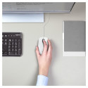 "Logitech M100 white USB"