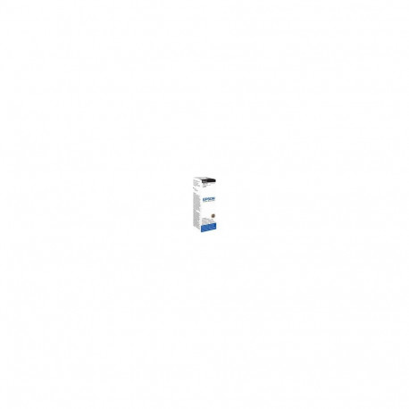 EPSON T6731 BLACK INK BOTTLE 70ML