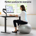 DESK FRAME MOTORISED/BLACK WDF221E-B ONKRON