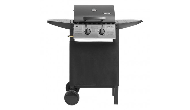GAASIGRILL HECHT FIRE 2