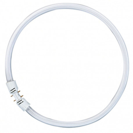 Osram Leuchtstoff Ringlampe T5 FC40W 830 2GX13 Circular