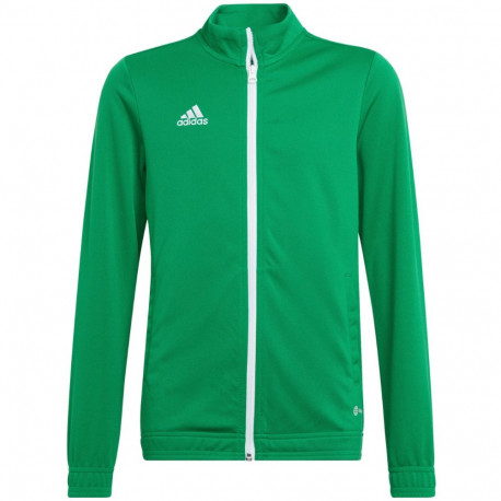 Adidas laste dressipluus Entrada 22 Track Jacket HI2138 164cm, roheline