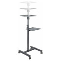 "StarTech PROJECTOR AND LAPTOP STAND"