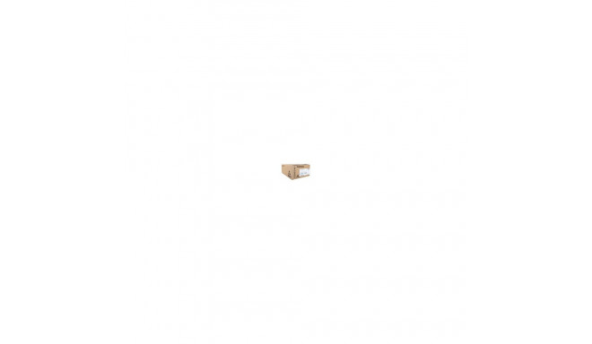 Ricoh jääktooneri mahuti 418425
