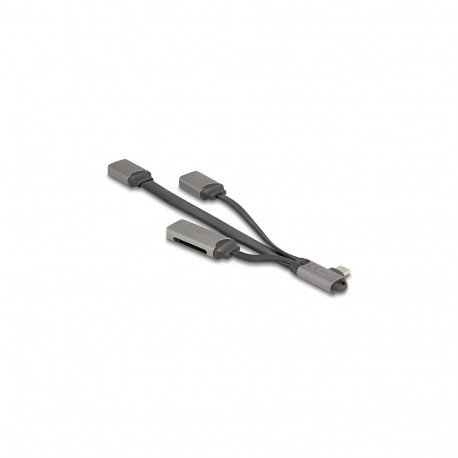 Delock 2-pordiline USB-jaotur koos SD ja Micro SD kaardilugejaga, USB Type-C ühendus
