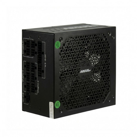 "1000W Inter Tech ArgusNT HA-1000BA4 ATX 3.1 80 PLUS Gold"