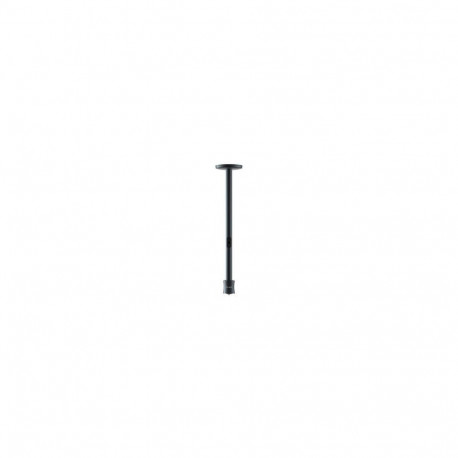 Dangbei laekinnitus 10-40 cm