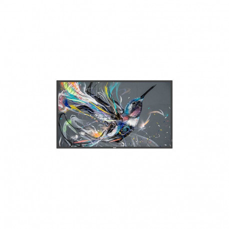 "PHILIPS Q-Line 50BDL3511Q 18/7/UHD/400cd (Speditionsversand)"