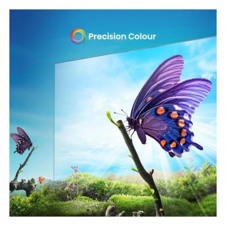 189,0cm/75" (3840x2160) Hisense 75E6NT 16:9 DLED 60Hz HDMI USB WLAN Bluetooth HDR10+ must kõlar