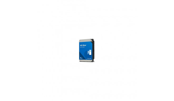 "4TB WD BLUE 3.5 IN SATA"