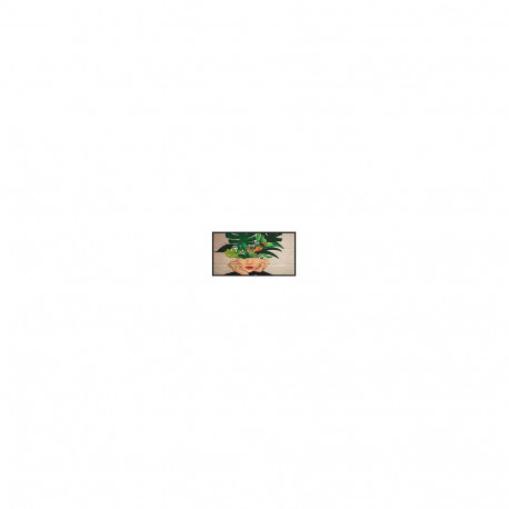 "PHILIPS D-Line 43BDL4511D 24/7/UHD/450cd"