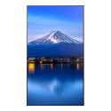 "Sharp MultiSync P556 Digital Signage 138,8 cm (55 Zoll)"