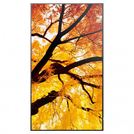 "Sharp MultiSync M502 Digital Signage Display 125,7 cm 50 Zoll"