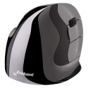 "Evoluent Vertical Mouse D medium right hand/6 buttons/wireless"