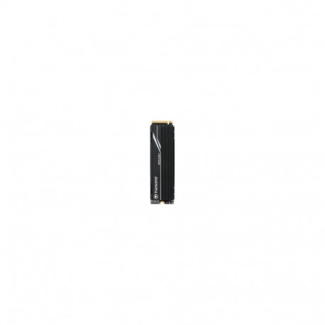 TRANSCEND ssd 1TB M.2 2280 PCIe Gen4x4 NVMe 3D TLC DRAM-iga metallist jahutusradiaator