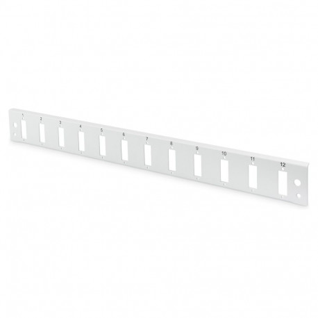 DIGITUS fiiberoptilise jätukarbi esipaneel 1HE 12xSC DX kiirlukustusega