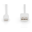 Digitus Apple Lightning - USB A andmekaabel MFI 1m valge