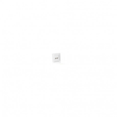 "Equip Unterputzdose +Frontplatte 2xRJ45 Cat5e 45° RAL 1013"