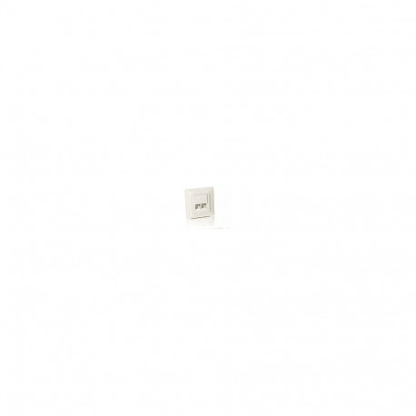 "Equip Unterputzdose +Frontplatte 2xRJ45 Cat5e 45° RAL 1013"
