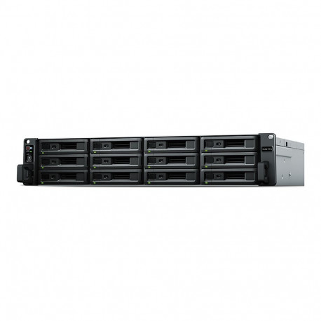 12-pesaga Synology RackStation RS3621RPXS