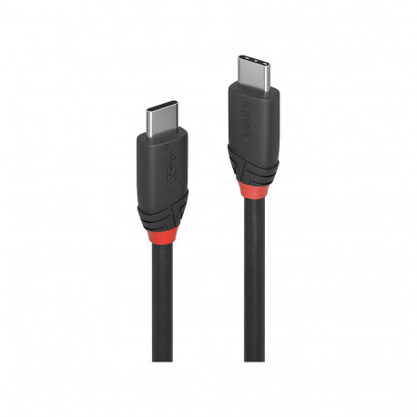 "LINDY USB 3.1 Kabel Typ C/C 3A Black Line M/M 1m"