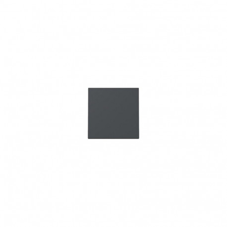 "GIRA 329628 Wippe System 55 Anthrazit"