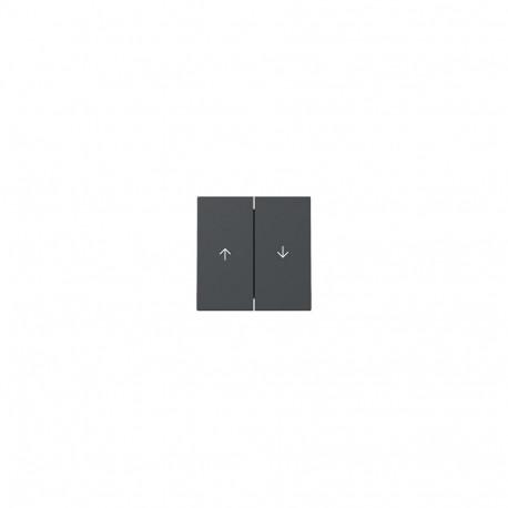 "GIRA 329428 Wippe 2f Pfeil System 55 Anthrazit"