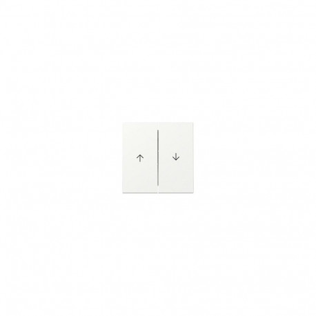 "GIRA 329427 Wippe 2f Pfeil System 55 Reinweiß m"