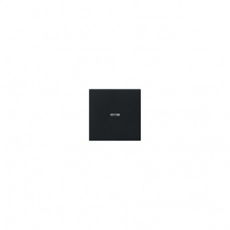 "GIRA 0290005 Wippe Kontrollf. System 55 Schwarz"