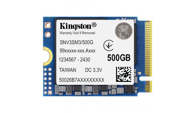 M.2 500G NV3 2230
