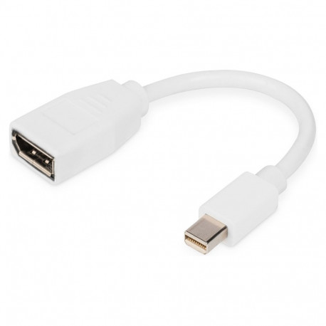 DIGITUS DisplayPort kaabel, mini DP - DP pistik/pesa 0,15m valge