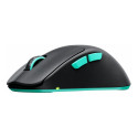 "Cherry XTRFY M64 Wireless. Black Wireless Maus"