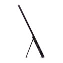 Acer PM161QB1bmiuux - 60Hz | Full HD | IPS | 15.6''