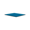 Thermal Grizzly Minus Pad Advance - 100x100x1.5 mm, thermal pads (pack of 2)