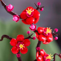 LEGO 10369 Botanical Collection Plum Blossom, construction toy