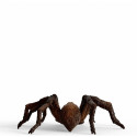 Schleich Wizarding World Aragog, toy figure