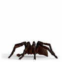 Schleich Wizarding World Aragog, toy figure