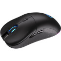 ENDORFY Gem Plus Wireless, gaming mouse (black)