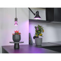 LED pirn 20W T80 E27 taimedele