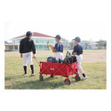 "COLEMAN Camping Bollerwagen"