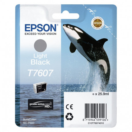 "Epson C13T76074010 light black"